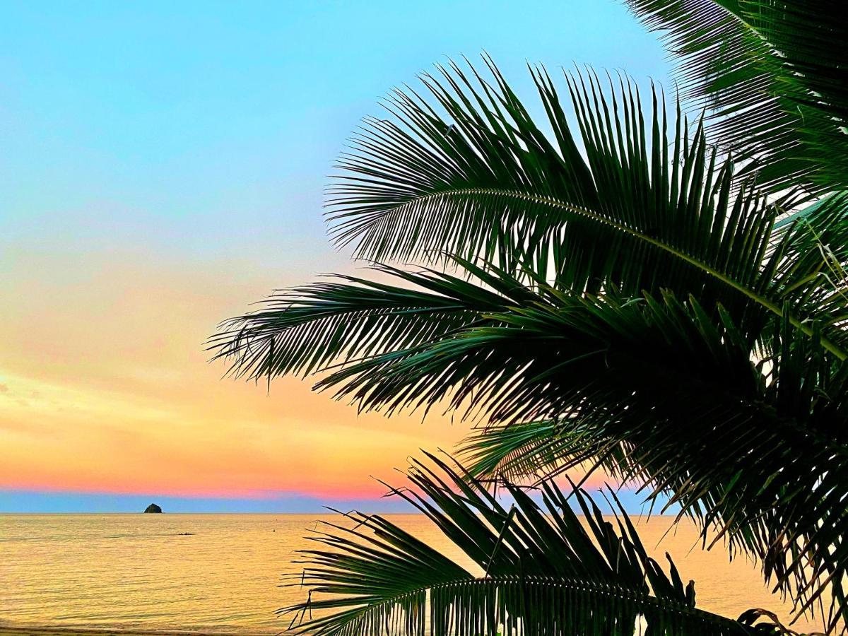 Beachview Apartments At Villa Paradiso ปาล์มโคฟ ภายนอก รูปภาพ